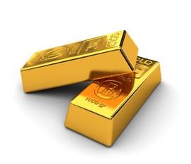 Invest in Gold Future Wealth