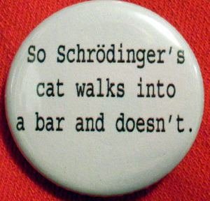 Schrödinger's Cat Paradox