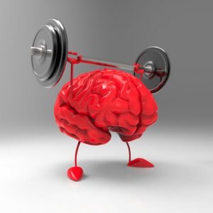 Exercise Brain Muscle Memory