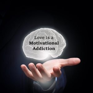 Love is a Motivational Addiction
